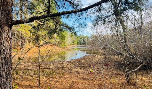 Photo #7 of Main Street, Hurt, VA 45.3 acres