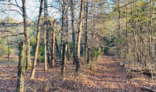 Photo #6 of Main Street, Hurt, VA 45.3 acres