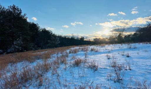 Photo #25 of Main Street, Hurt, VA 45.3 acres