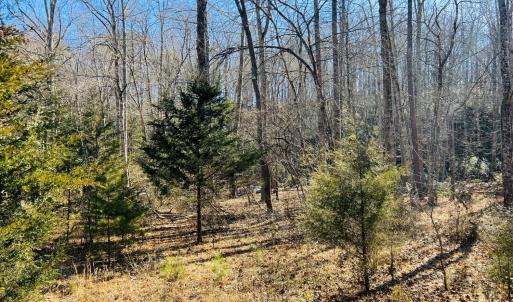 Photo #23 of Main Street, Hurt, VA 45.3 acres