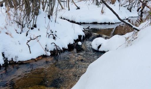Photo #36 of Main Street, Hurt, VA 45.3 acres