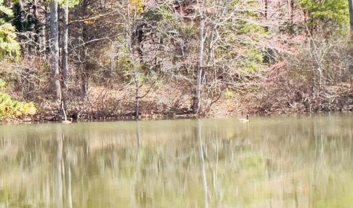 Photo #8 of Main Street, Hurt, VA 45.3 acres