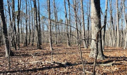 Photo #19 of Main Street, Hurt, VA 45.3 acres