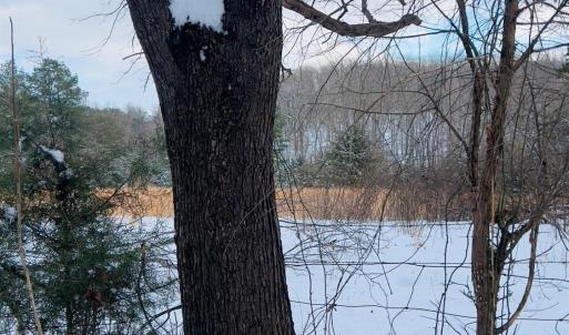 Photo #34 of Main Street, Hurt, VA 45.3 acres