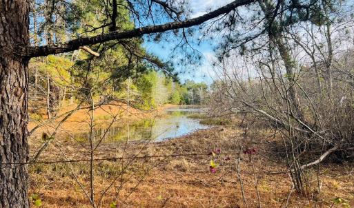 Photo #7 of Main Street, Hurt, VA 45.3 acres