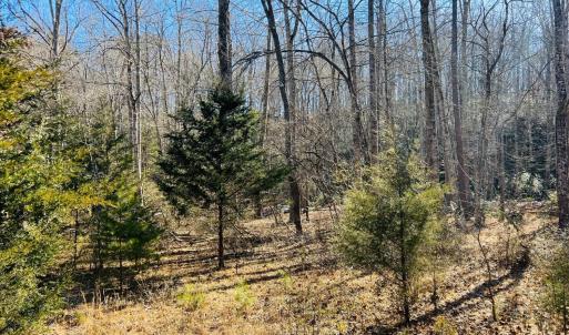 Photo #23 of Main Street, Hurt, VA 45.3 acres