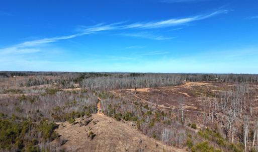 Photo #29 of 1081 Lennig Road, Nathalie, VA 161.5 acres