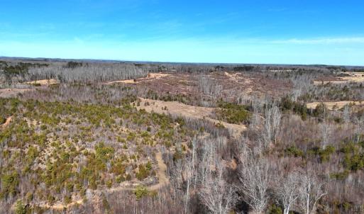 Photo #79 of 1081 Lennig Road, Nathalie, VA 161.5 acres