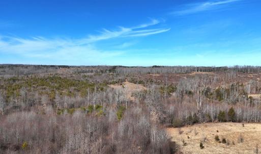 Photo #58 of 1081 Lennig Road, Nathalie, VA 161.5 acres