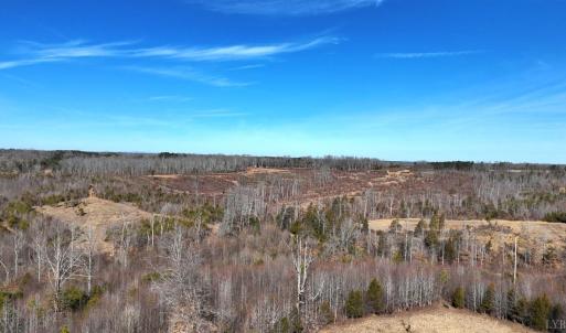 Photo #19 of 1081 Lennig Road, Nathalie, VA 161.5 acres