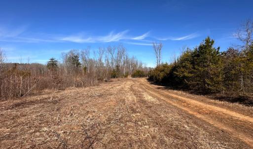 Photo #89 of 1081 Lennig Road, Nathalie, VA 161.5 acres