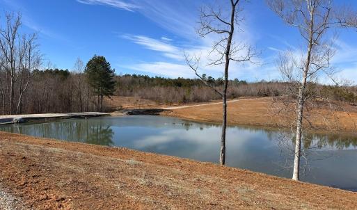 Photo #9 of 1081 Lennig Road, Nathalie, VA 161.5 acres