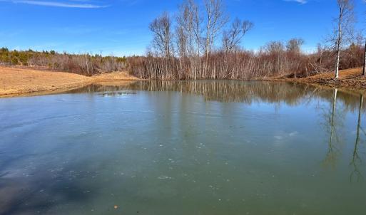 Photo #10 of 1081 Lennig Road, Nathalie, VA 161.5 acres