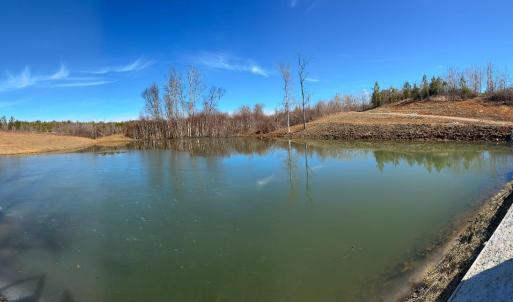 Photo #12 of 1081 Lennig Road, Nathalie, VA 161.5 acres