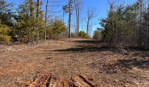 Photo #84 of 1081 Lennig Road, Nathalie, VA 161.5 acres