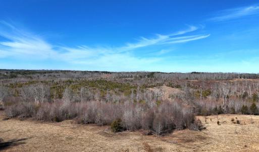 Photo #57 of 1081 Lennig Road, Nathalie, VA 161.5 acres