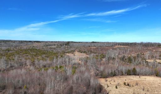 Photo #17 of 1081 Lennig Road, Nathalie, VA 161.5 acres