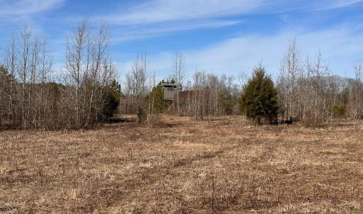 Photo #92 of 1081 Lennig Road, Nathalie, VA 161.5 acres