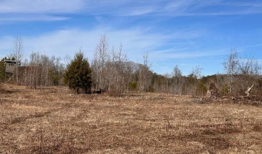 Photo #93 of 1081 Lennig Road, Nathalie, VA 161.5 acres
