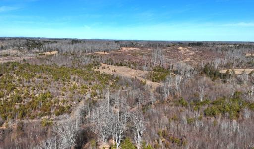 Photo #70 of 1081 Lennig Road, Nathalie, VA 161.5 acres