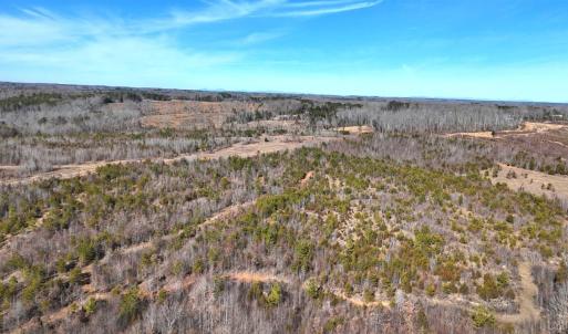 Photo #78 of 1081 Lennig Road, Nathalie, VA 161.5 acres