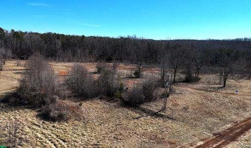 Photo #20 of 1081 Lennig Road, Nathalie, VA 161.5 acres