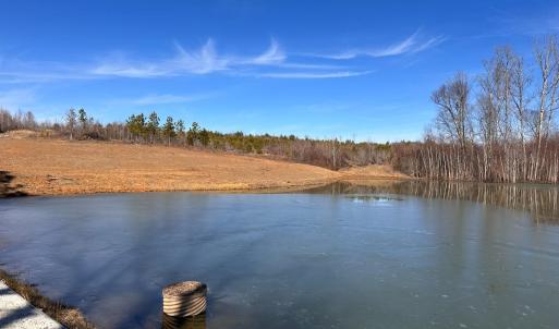 Photo #11 of 1081 Lennig Road, Nathalie, VA 161.5 acres