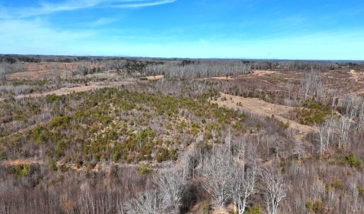 Photo #69 of 1081 Lennig Road, Nathalie, VA 161.5 acres