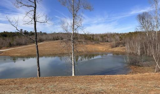 Photo #8 of 1081 Lennig Road, Nathalie, VA 161.5 acres