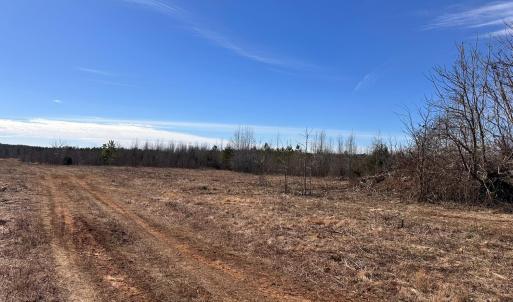 Photo #91 of 1081 Lennig Road, Nathalie, VA 161.5 acres