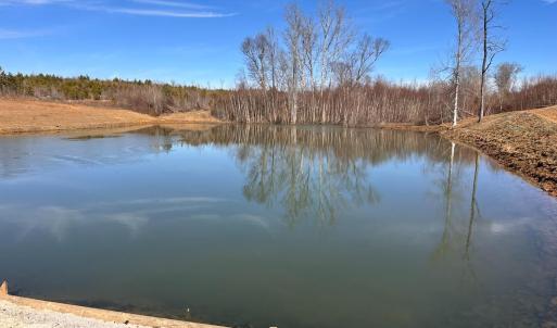 Photo #6 of 1081 Lennig Road, Nathalie, VA 161.5 acres