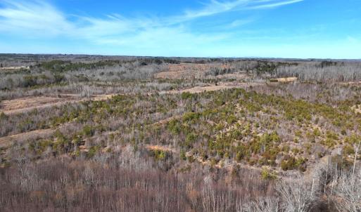 Photo #68 of 1081 Lennig Road, Nathalie, VA 161.5 acres