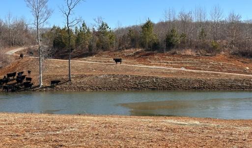 Photo #95 of 1081 Lennig Road, Nathalie, VA 161.5 acres