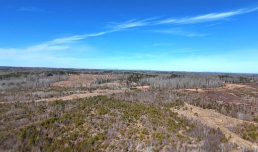 Photo #34 of 1081 Lennig Road, Nathalie, VA 161.5 acres