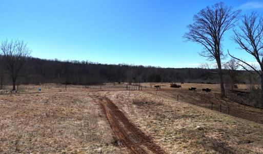 Photo #21 of 1081 Lennig Road, Nathalie, VA 161.5 acres