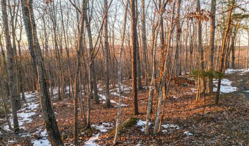 Photo #29 of TBD Earley Farm Road, Amherst, VA 123.4 acres