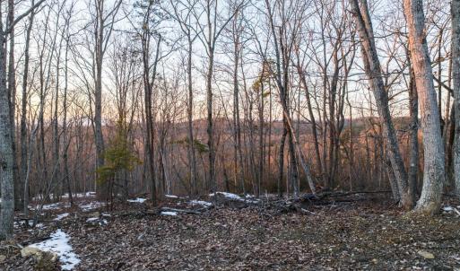 Photo #7 of TBD Earley Farm Road, Amherst, VA 123.4 acres