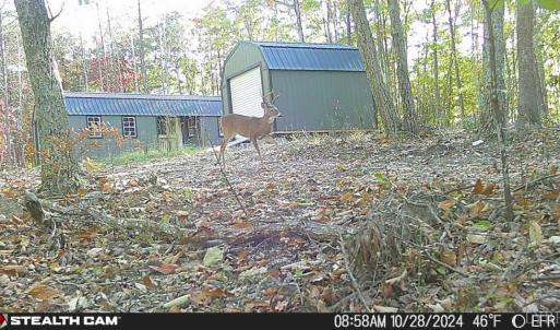 Photo #50 of TBD Earley Farm Road, Amherst, VA 123.4 acres