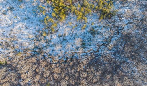 Photo #21 of TBD Earley Farm Road, Amherst, VA 123.4 acres