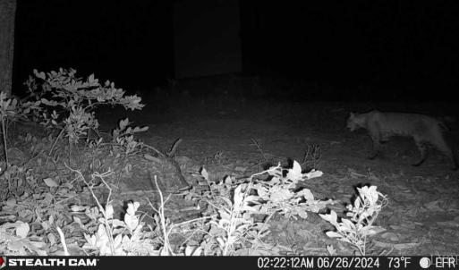 Photo #54 of TBD Earley Farm Road, Amherst, VA 123.4 acres