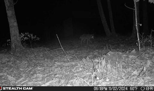 Photo #55 of TBD Earley Farm Road, Amherst, VA 123.4 acres