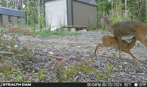 Photo #52 of TBD Earley Farm Road, Amherst, VA 123.4 acres