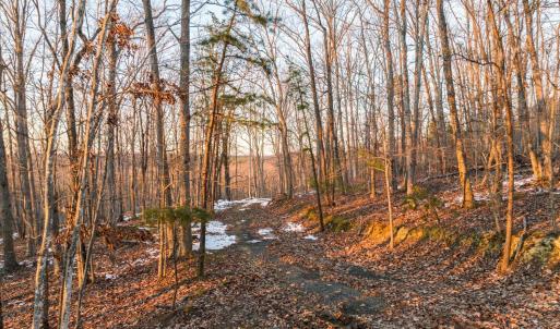 Photo #27 of TBD Earley Farm Road, Amherst, VA 123.4 acres