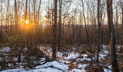 Photo #28 of TBD Earley Farm Road, Amherst, VA 123.4 acres