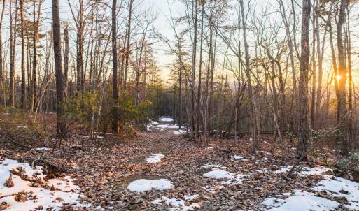 Photo #25 of TBD Earley Farm Road, Amherst, VA 123.4 acres