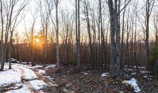 Photo #30 of TBD Earley Farm Road, Amherst, VA 123.4 acres