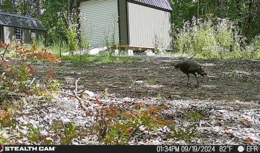 Photo #53 of TBD Earley Farm Road, Amherst, VA 123.4 acres