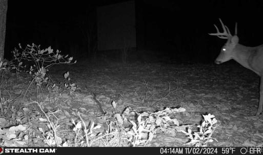 Photo #51 of TBD Earley Farm Road, Amherst, VA 123.4 acres