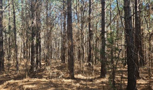 Photo #3 of TN Snow Road, Nathalie, VA 22.8 acres