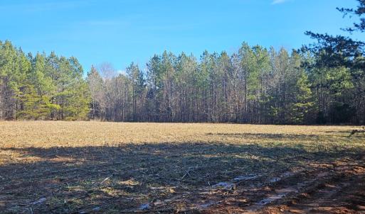 Photo #6 of TN Snow Road, Nathalie, VA 22.8 acres
